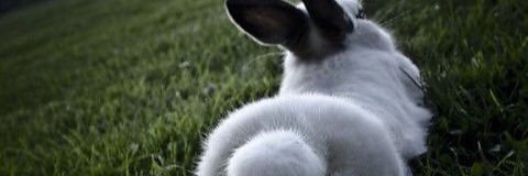 enonly's profile banner image