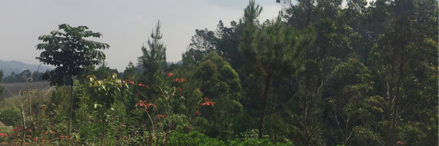 _soso15's profile banner image