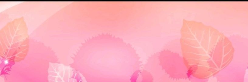 𝔽𝕚𝕕𝕖 𝕄𝕚𝕣𝕠́𝕟 banner