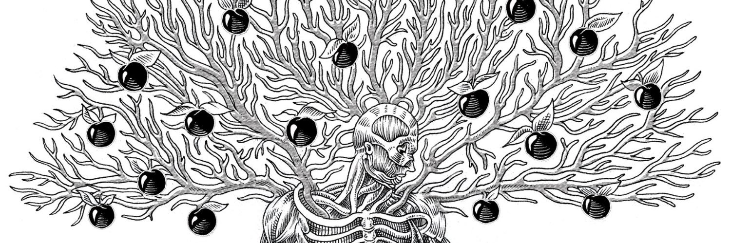 MichaelMenkePhD's profile banner image
