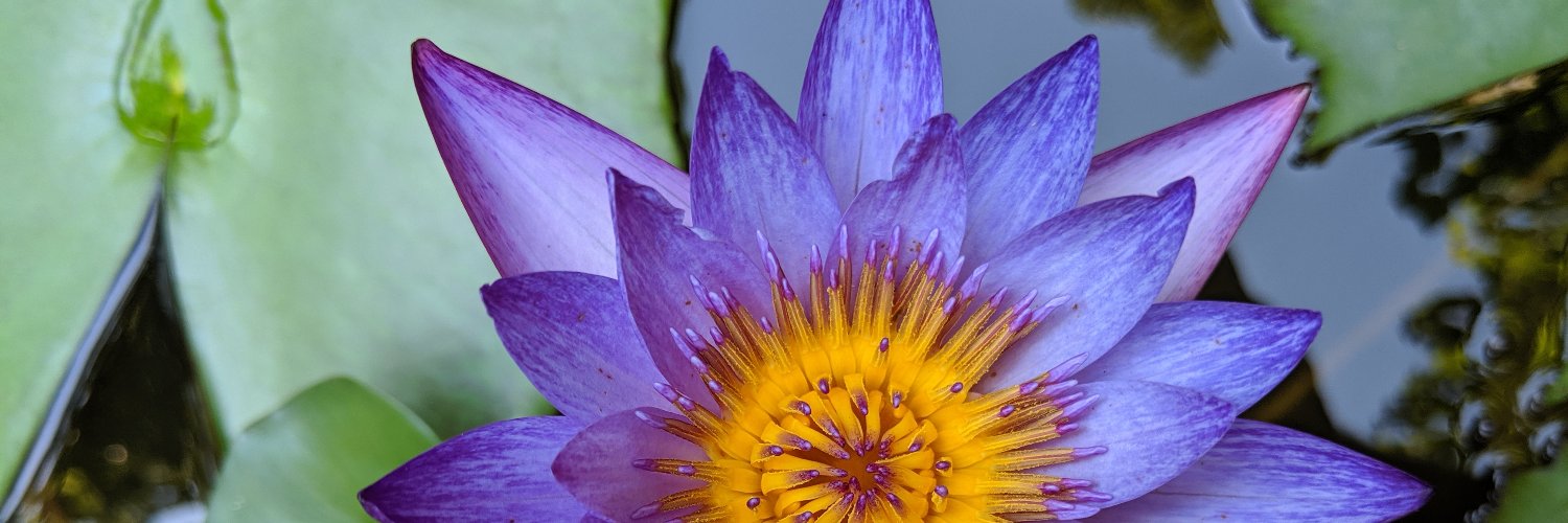 CBCradar's profile banner image