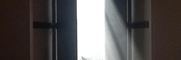 eva cruciani banner