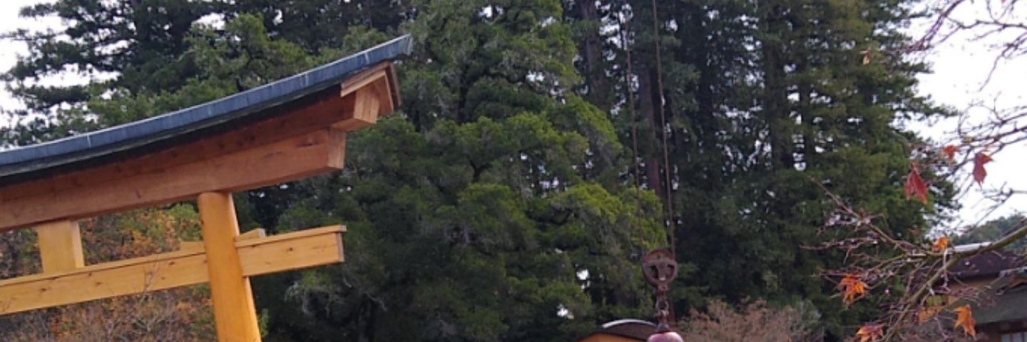 daniel_heminger's profile banner image