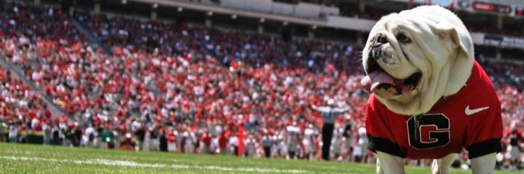 cover4uga's profile banner image