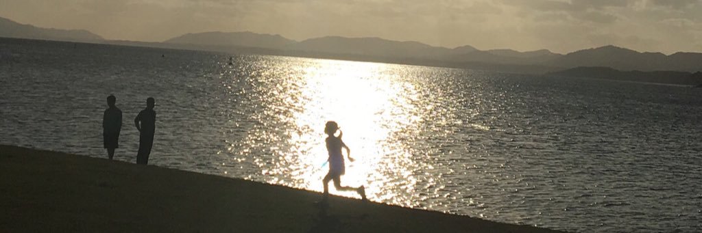 saṃskṛta🍀 banner