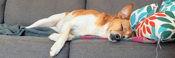 bbbaarbb Profile Banner