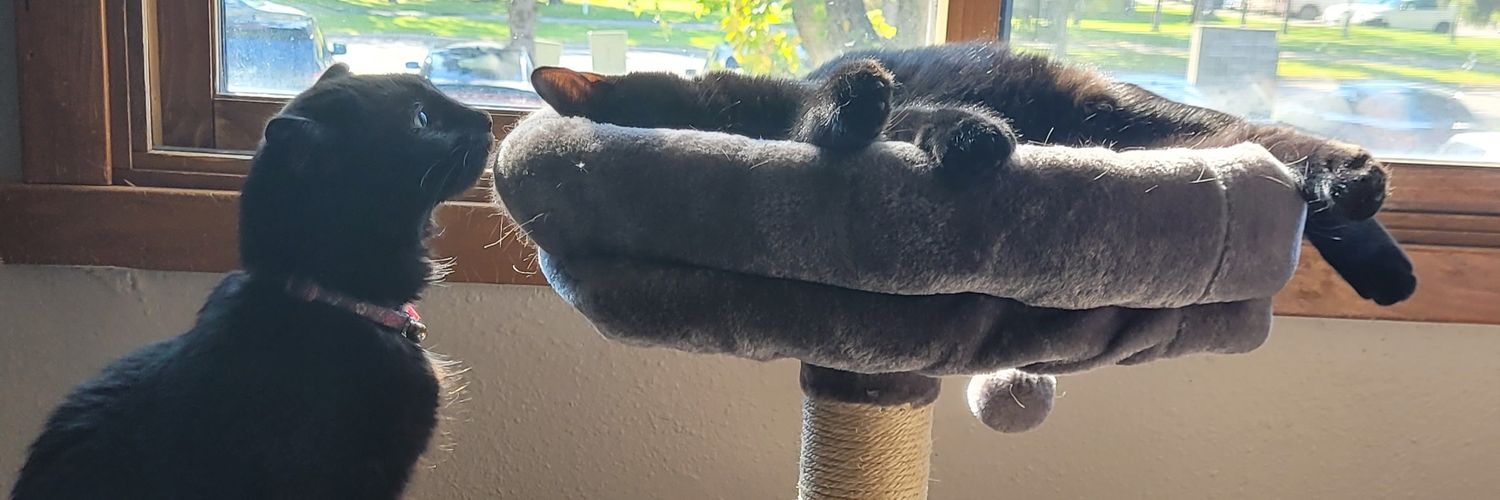 Lea, Werewolf Wrangler banner