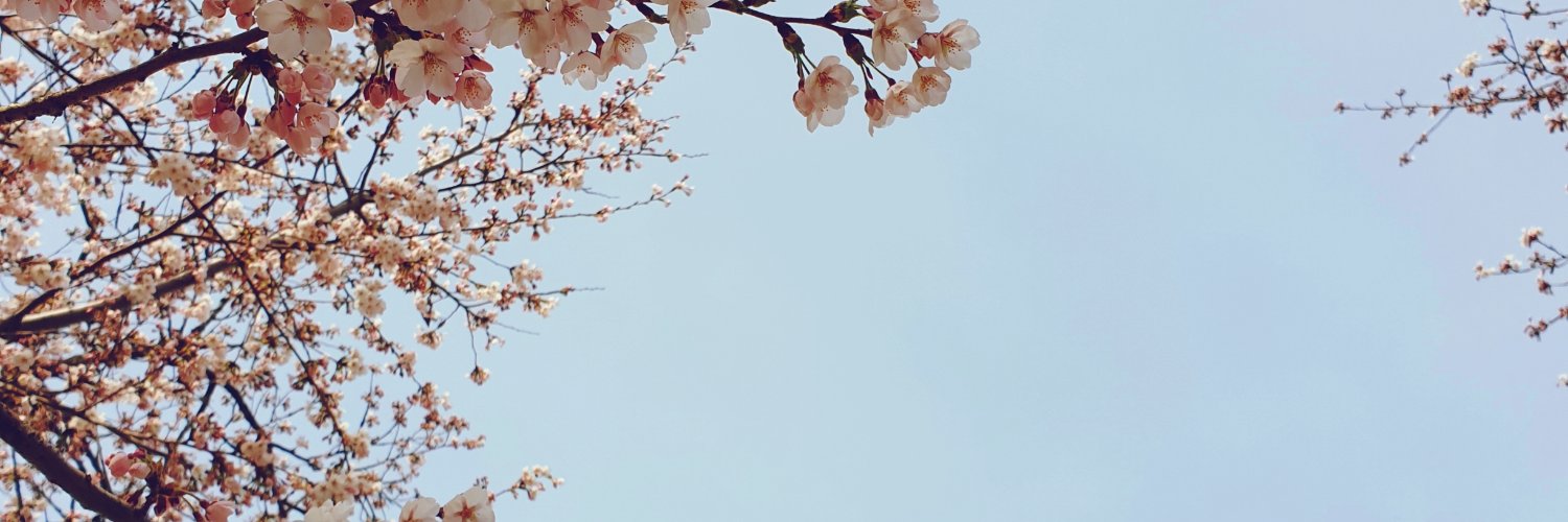 kiachu_'s profile banner image