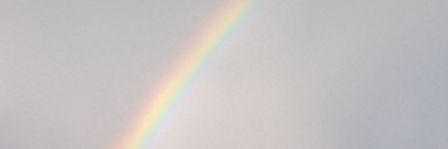 dzeciri's profile banner image