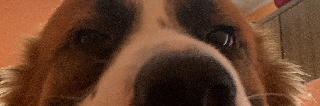 romulus666_1's profile banner image