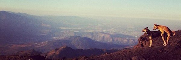 prolapsofofo Profile Banner