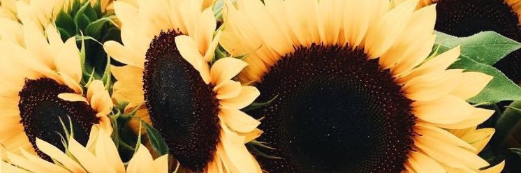 eawheelyyy's profile banner image