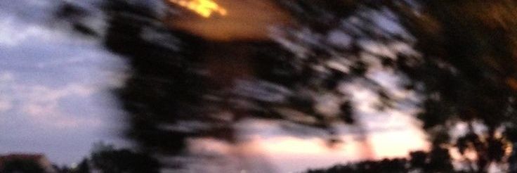 Florrrr_379's profile banner image