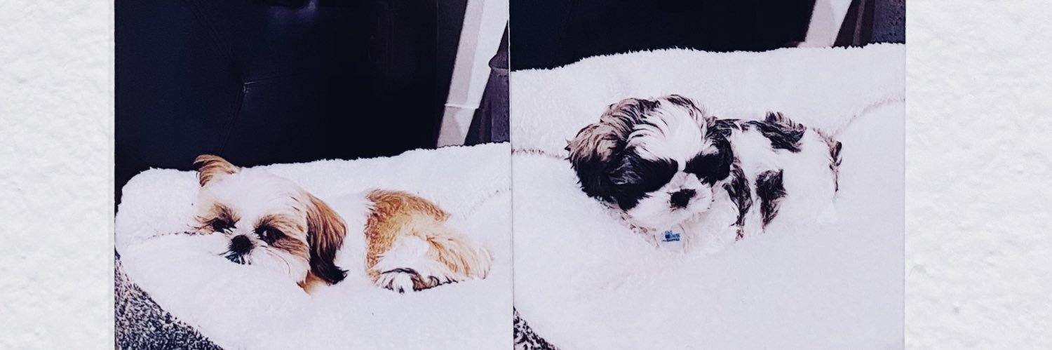 xjayveee's profile banner image