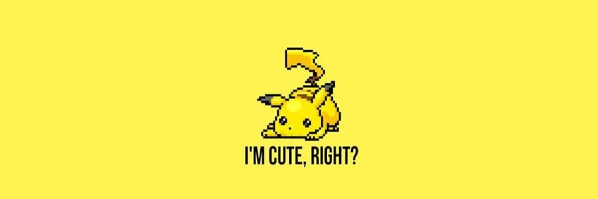 PikaPoltron's profile banner image