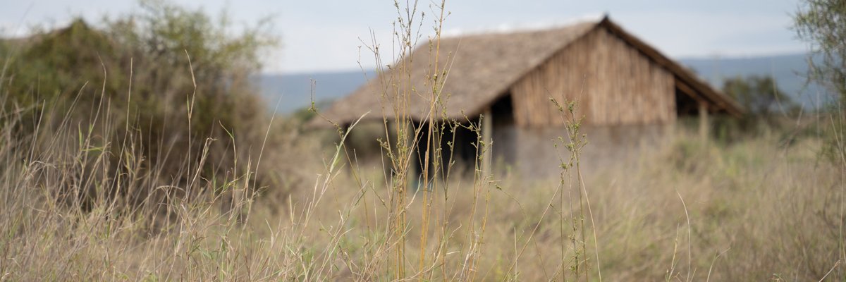 MordecaiO's profile banner image