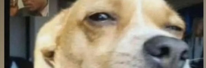 YatsinEdwin's profile banner image