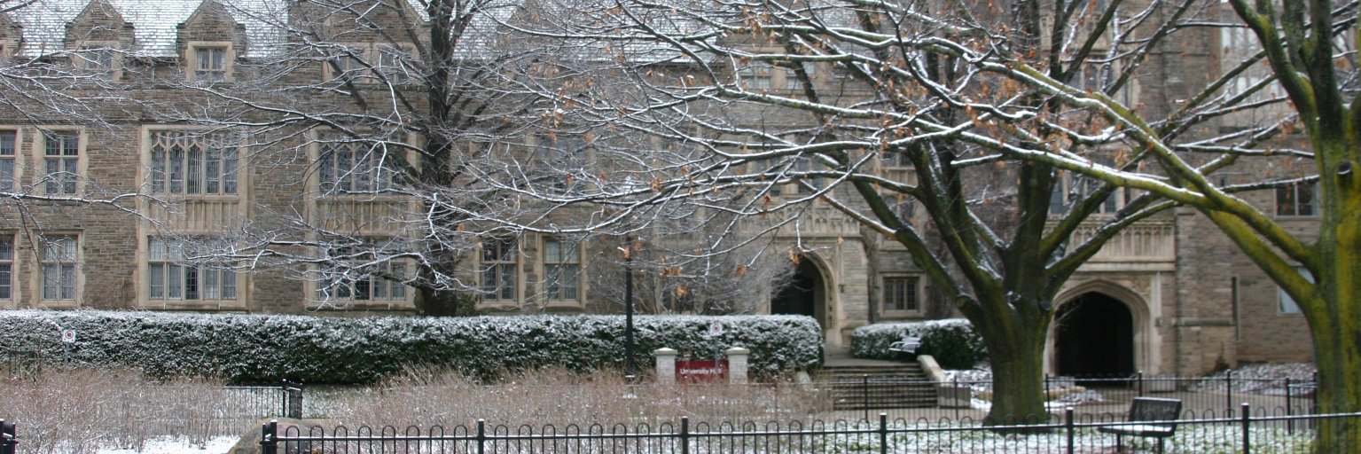 Max Lightstone banner