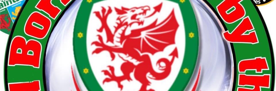 welshdino's profile banner image
