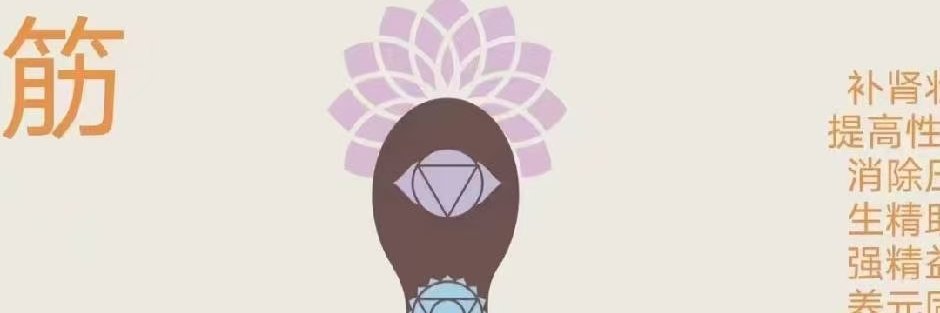 valaguer's profile banner image