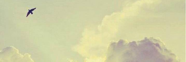 joory_ibrahim's profile banner image