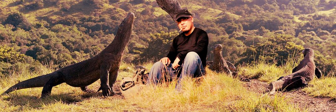 The Art of TingWe banner