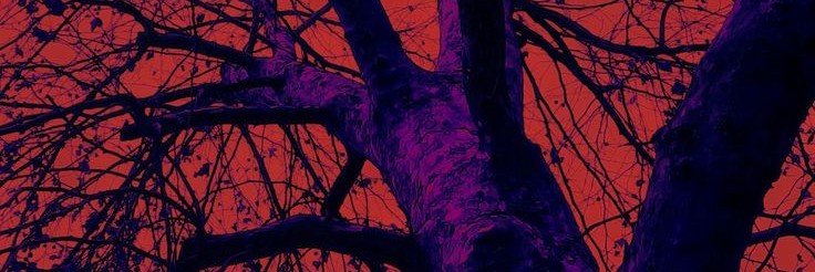 Wicho_Mask's profile banner image