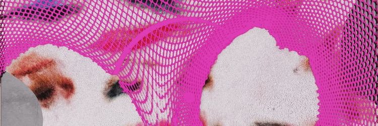 lorelectrarex's profile banner image