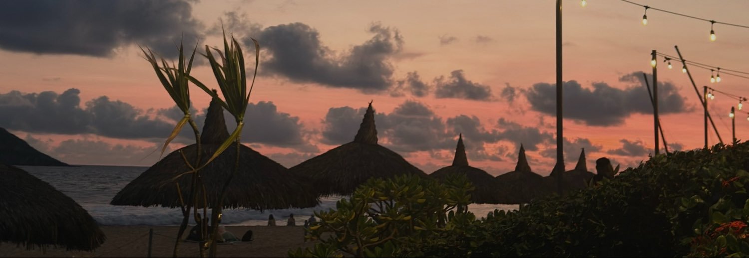 devchillona's profile banner image