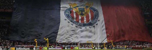 mguti14's profile banner image