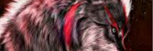 selim0320's profile banner image