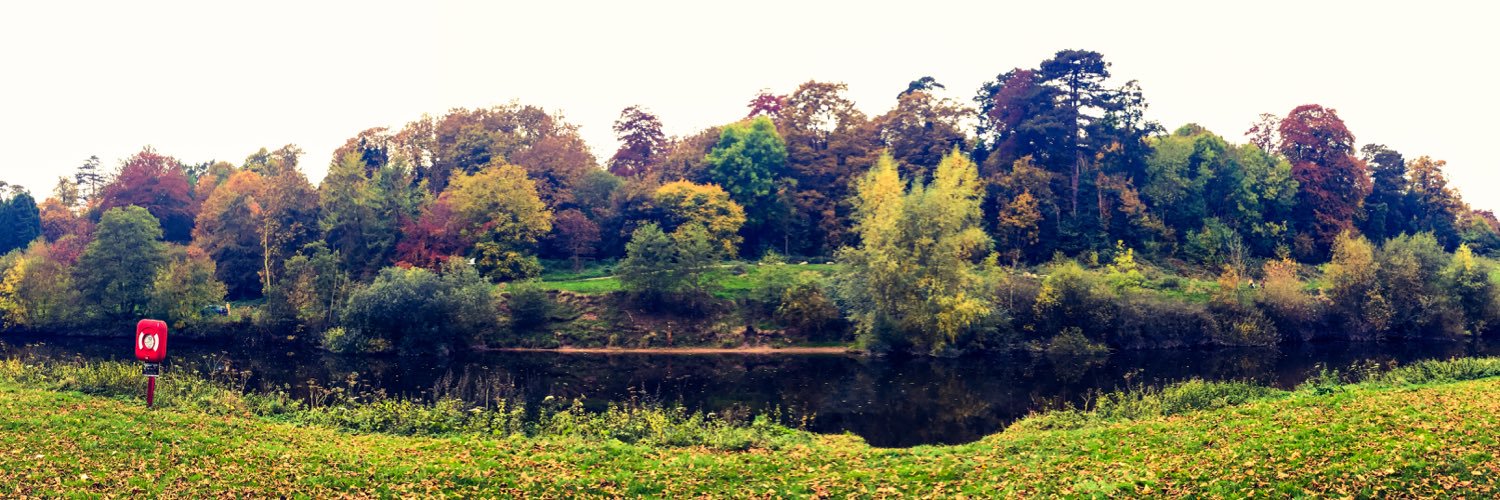 Dr. Daniel Wright banner