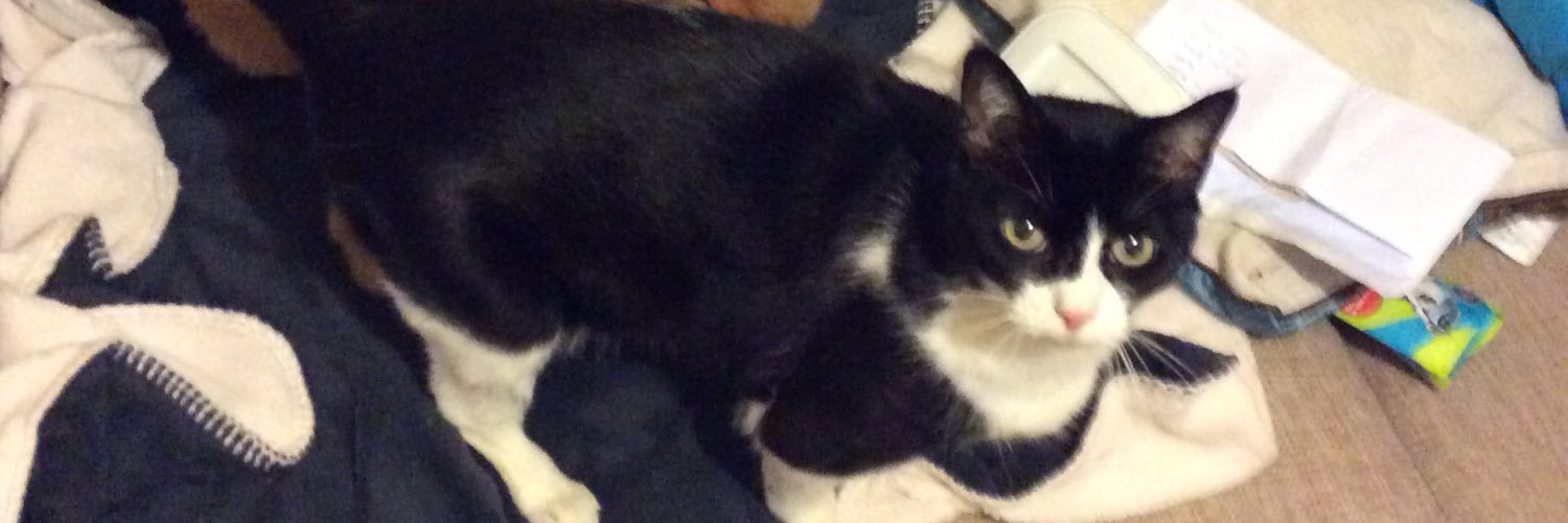 🐱 Kittycat 🐱 banner