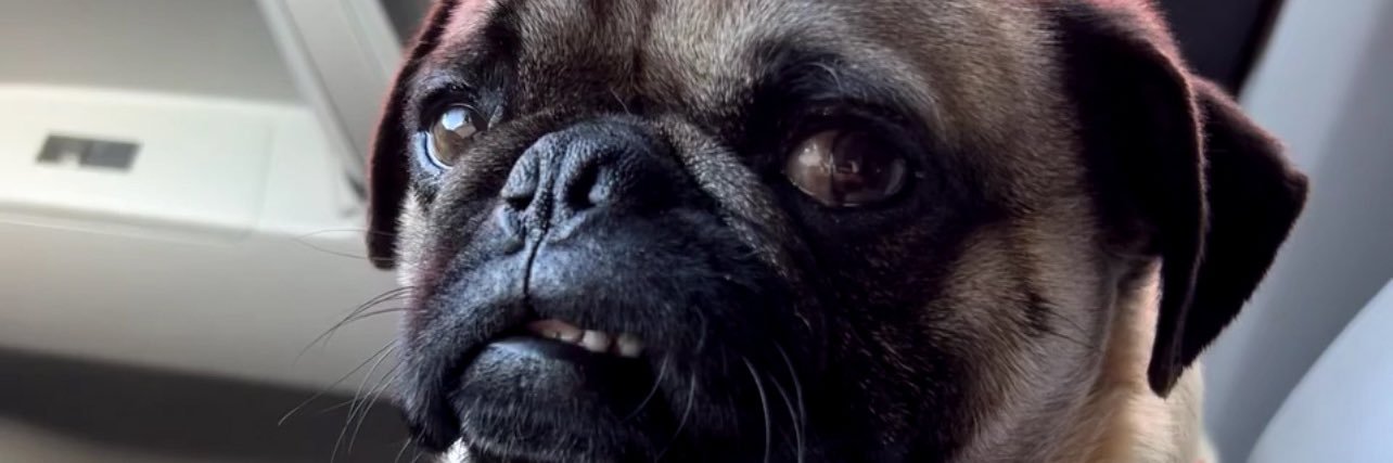 skharsito's profile banner image