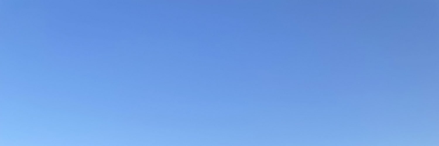 Ms_Nandin's profile banner image