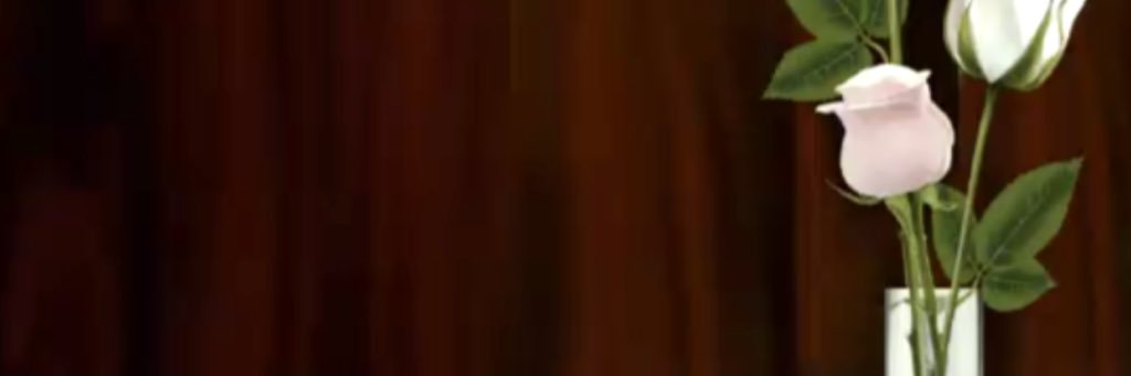 Aaii1122's profile banner image