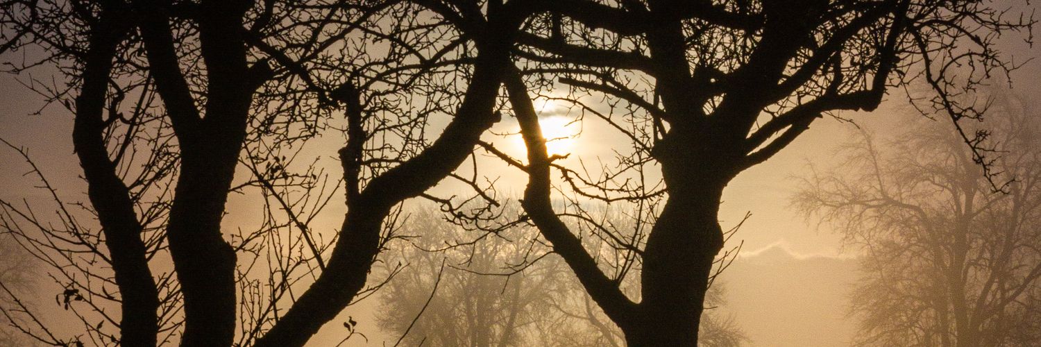 littleboyplopp's profile banner image