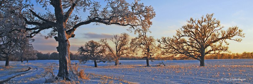 TNC in Illinois banner