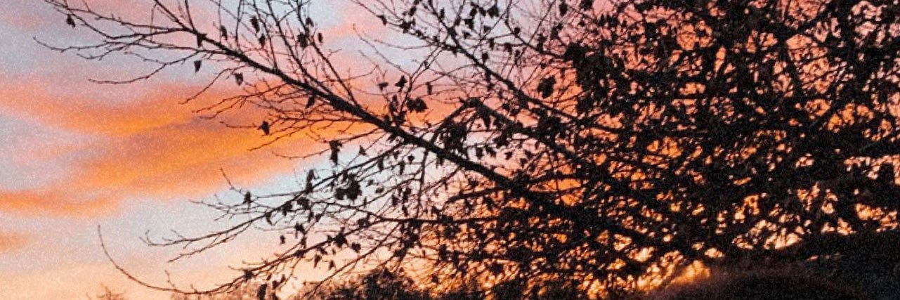 bbbeelllaa's profile banner image