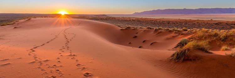 رايد العيادة banner