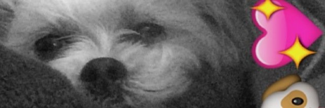 tedkroket's profile banner image