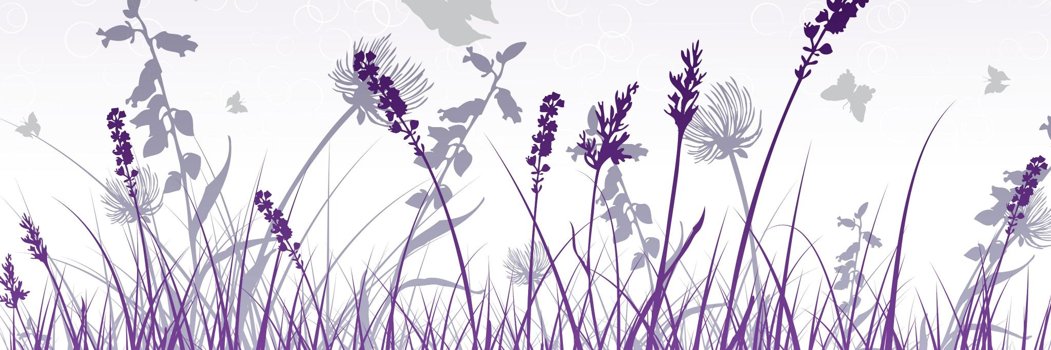 RajaMissile's profile banner image