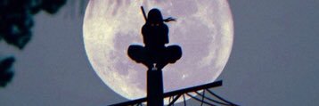 liirxi's profile banner image