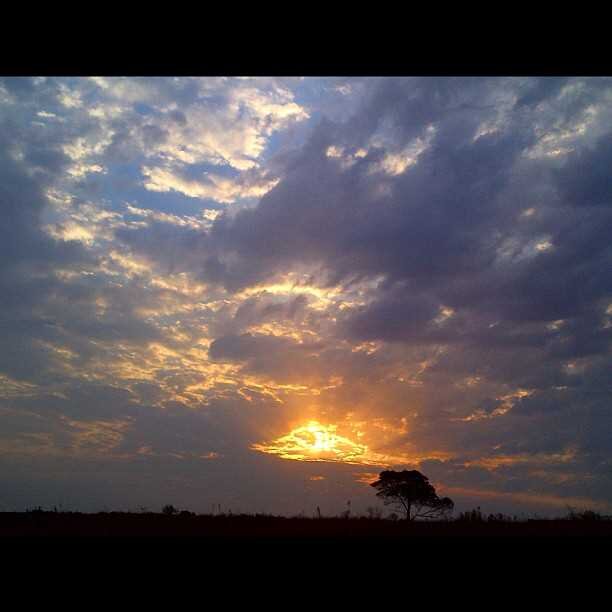 Tebza137's profile banner image