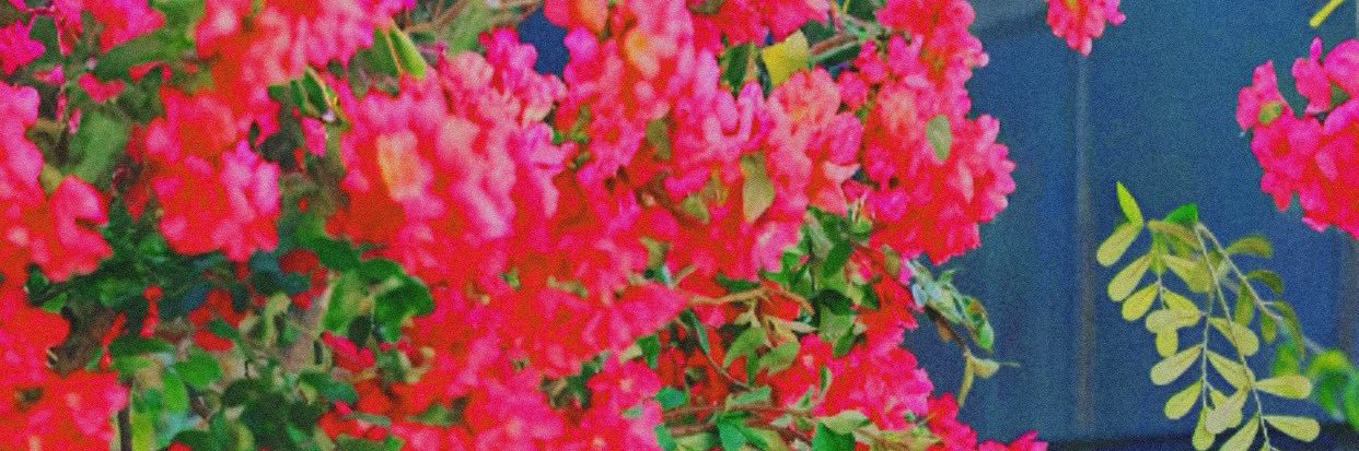 rinako723's profile banner image