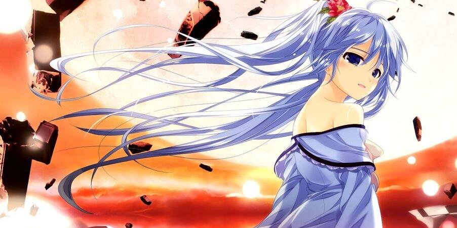 cdcbunny's profile banner image