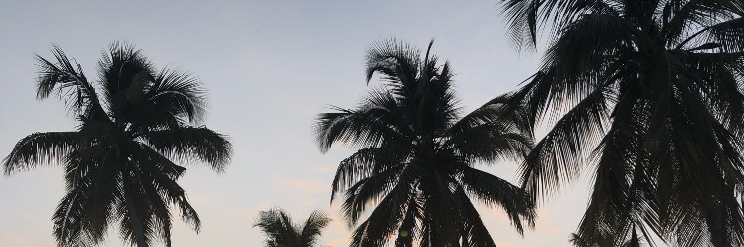 leadeckerck's profile banner image