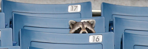 binzanderson's profile banner image