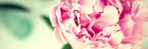 matildadelves_'s profile banner image