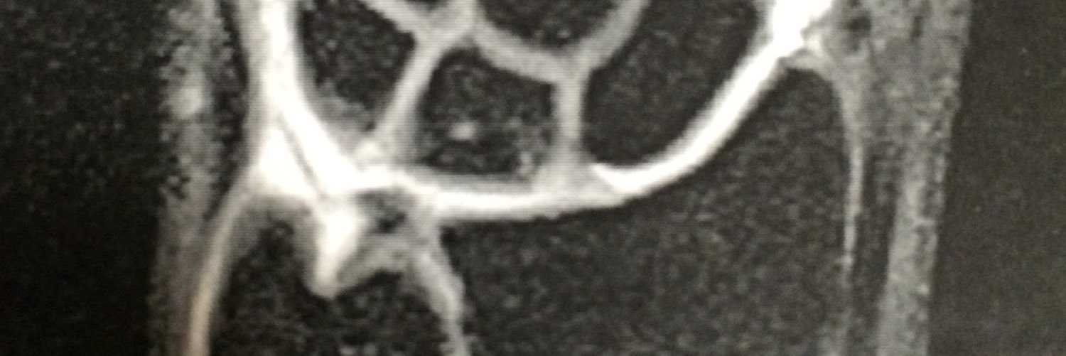 Dra. Mireia Esplugas banner